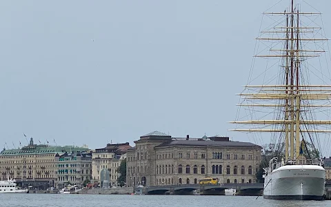 "Green" Hop on Hop off boat Stromma image