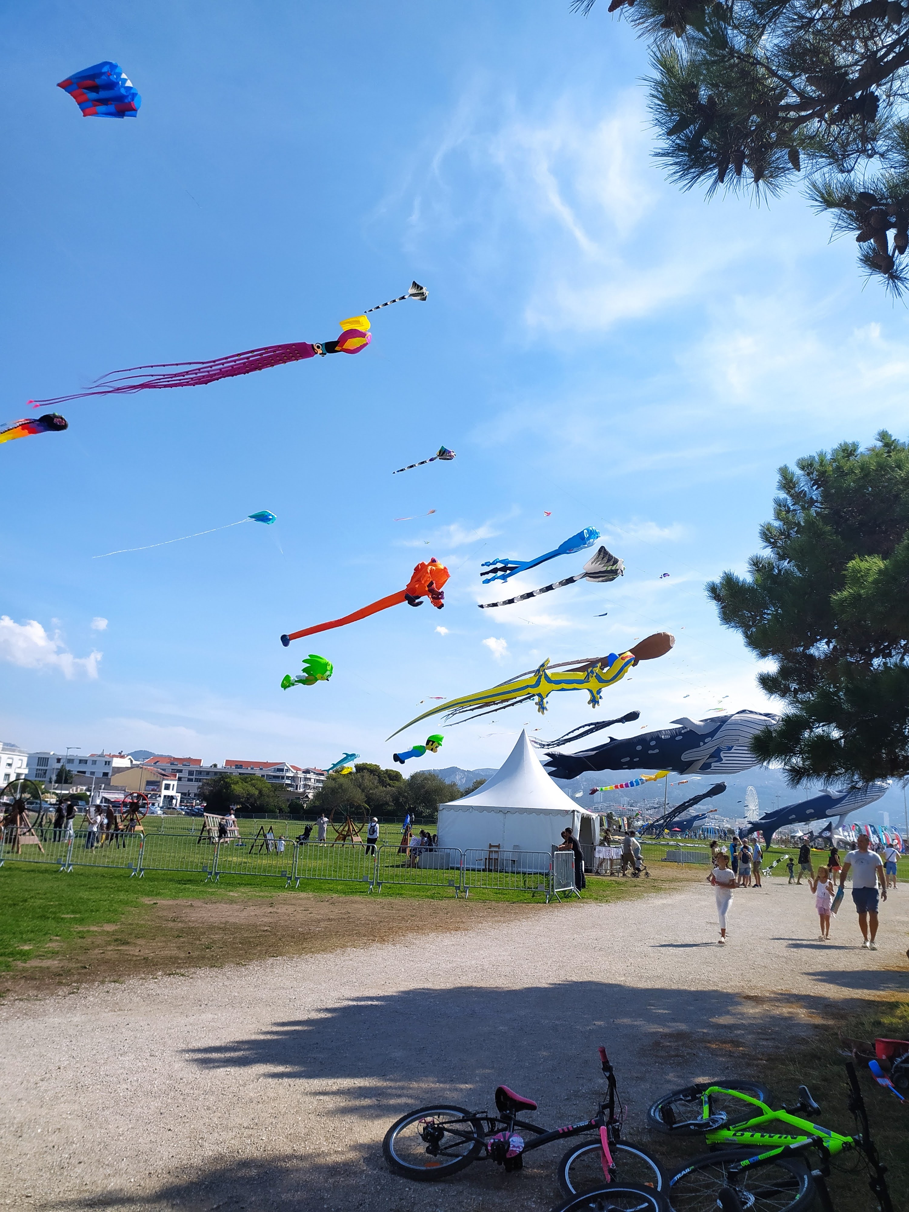 Photo n° 5 de l'avis de Gerard.o fait le 19/09/2021 à 09:39