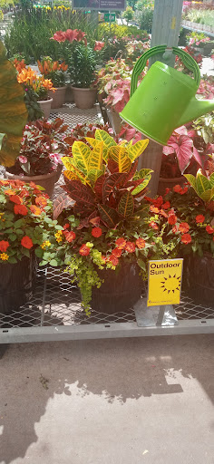 Home Improvement Store «The Home Depot», reviews and photos, 4829 US-90, Pace, FL 32571, USA