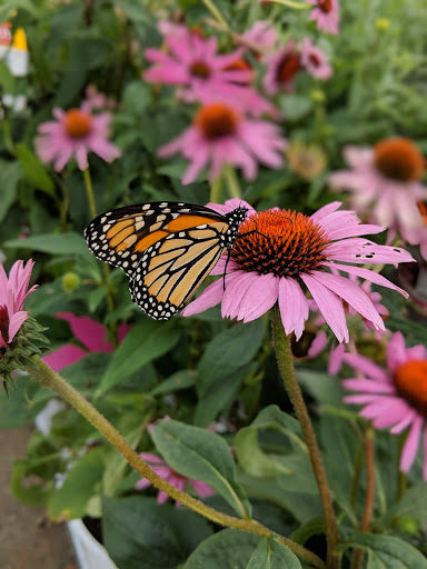 Home Improvement Store «The Home Depot», reviews and photos, 160 Laconia Rd, Tilton, NH 03276, USA