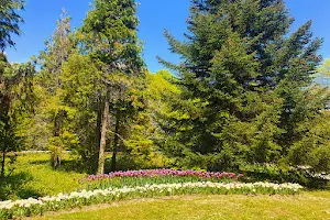University Botanical Garden Ecopark Varna image