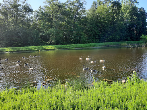 Shopping Mall «Shops at Waldorf Center», reviews and photos, 3022 Festival Way, Waldorf, MD 20601, USA