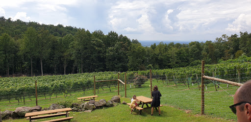 Winery «Twin Oaks Tavern Winery», reviews and photos, 18035 Raven Rocks Rd, Bluemont, VA 20135, USA