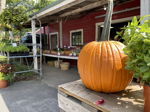 Produce Market «Smith Farm», reviews and photos, 131 Kimball Hill Rd, Hudson, NH 03051, USA