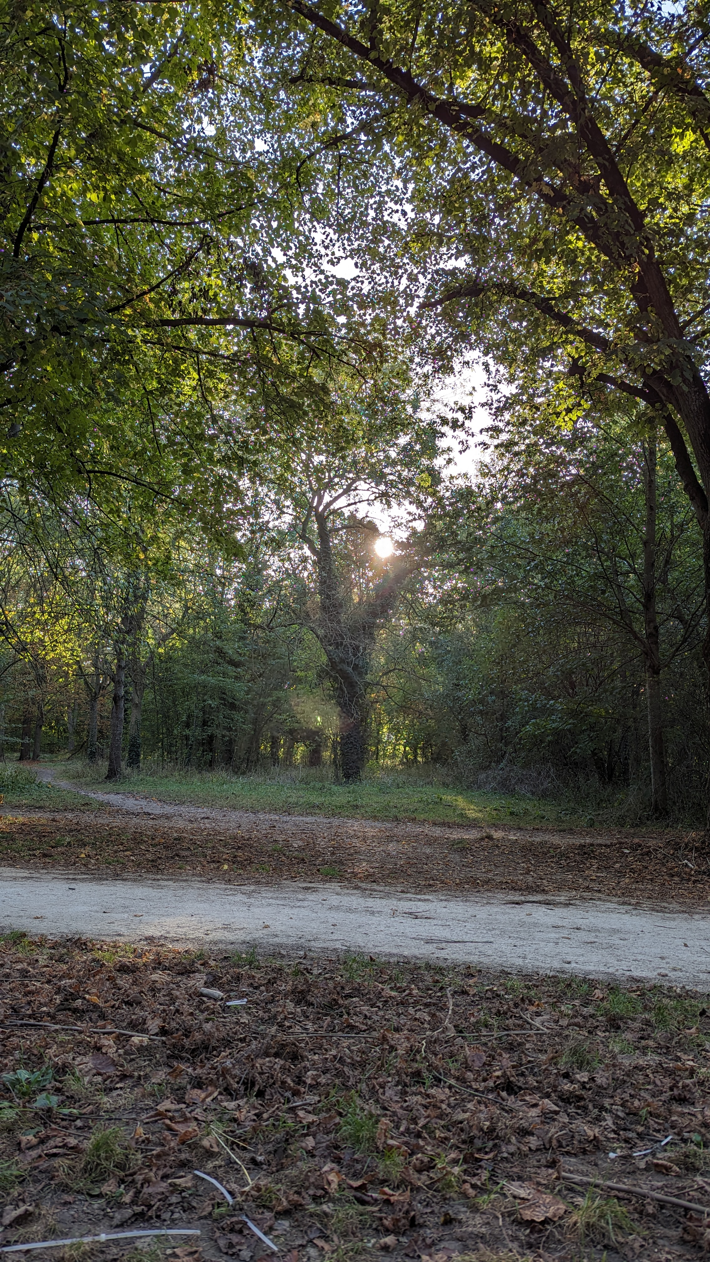 Photo n° 17 de l'avis de Alessandro.t fait le 09/03/2024 à 01:48