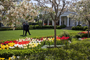 The Kennedy Garden