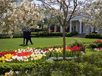 The Kennedy Garden