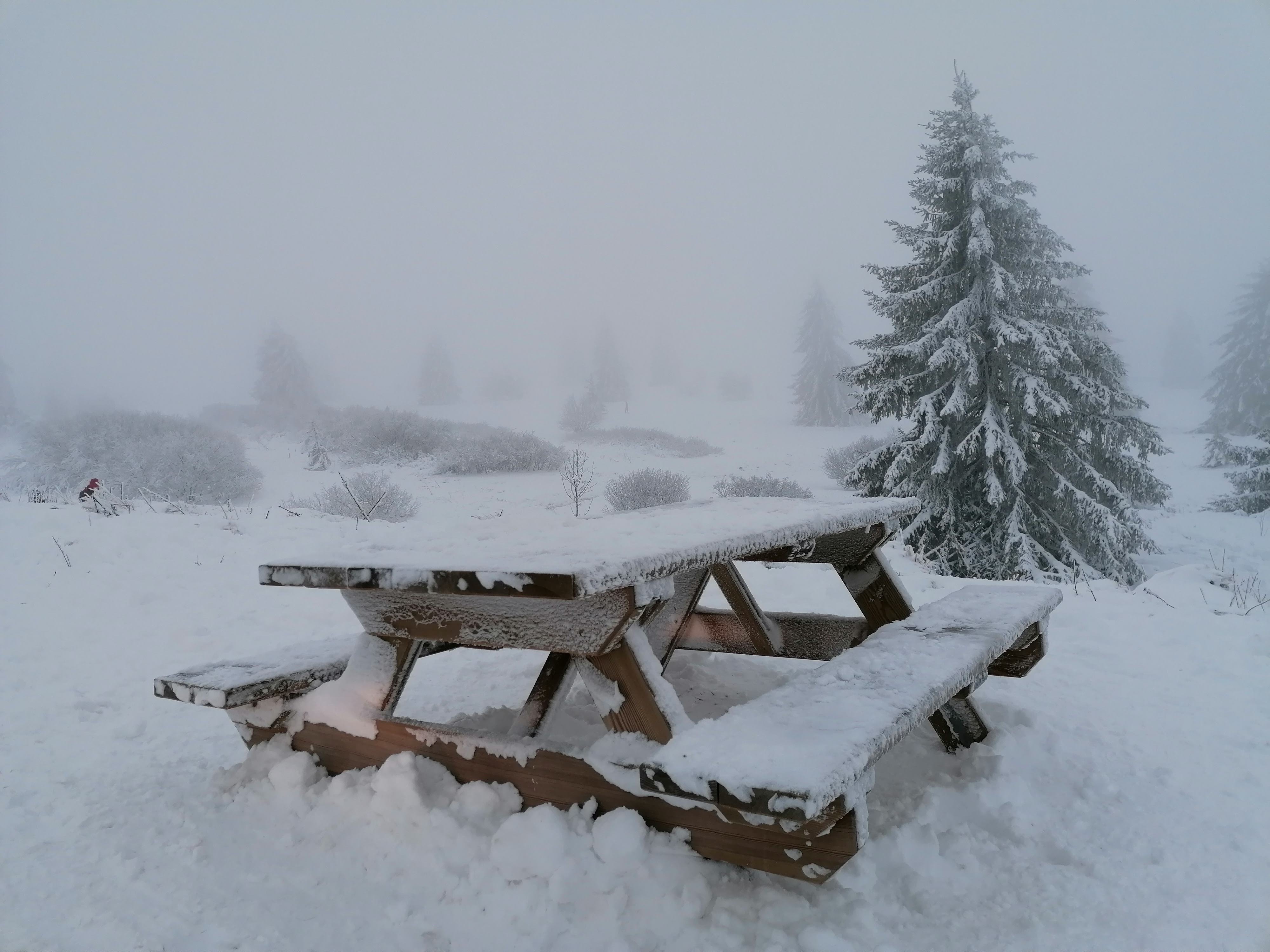 Photo n° 1 de l'avis de sumrak78. fait le 30/12/2020 à 15:39