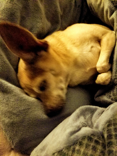 Grocery Store «Albertsons», reviews and photos, 3825 Alton Pkwy, Irvine, CA 92606, USA