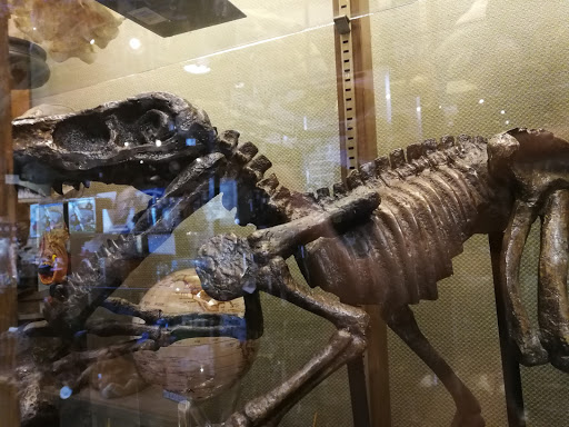 Souvenir Store «Ye Olde Curiosity Shop», reviews and photos, 1001 Alaskan Way, Seattle, WA 98104, USA