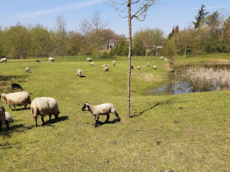 Sportpark Kaalheide