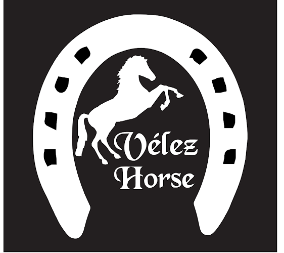 Comentarios y opiniones de VELEZ HORSE