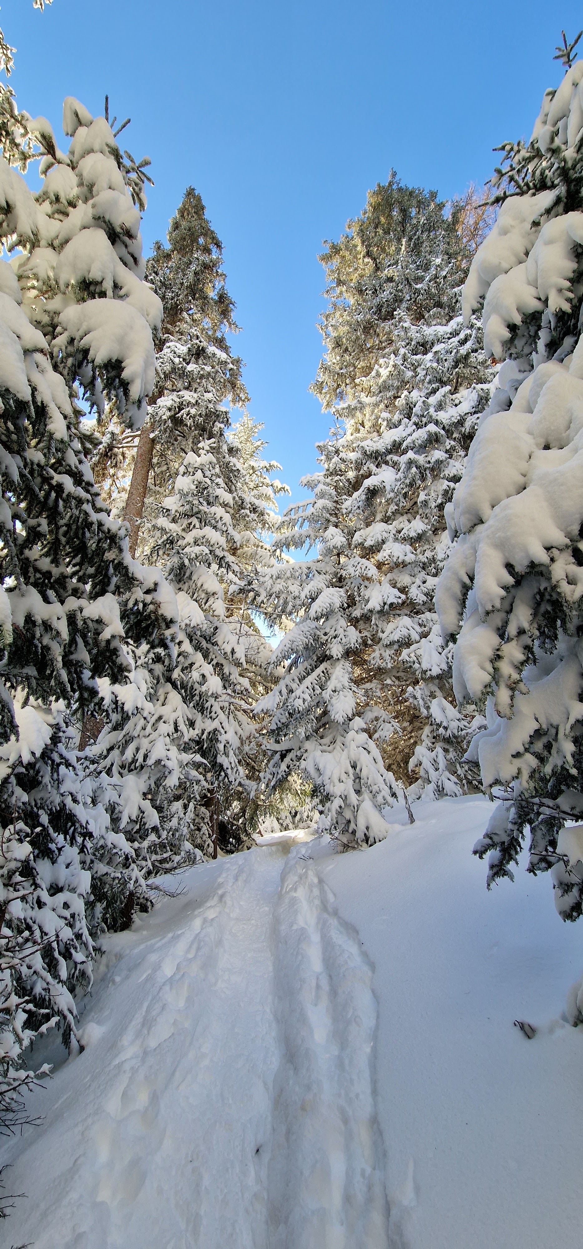 Photo n° 7 de l'avis de véronique.o fait le 12/01/2023 à 07:17