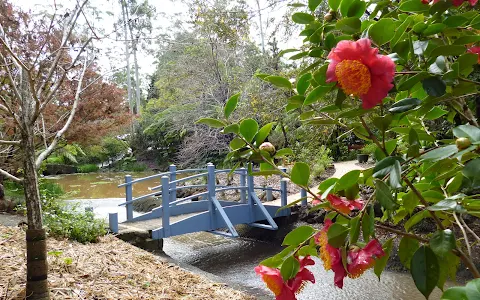 Tamborine Mountain Botanic Gardens image
