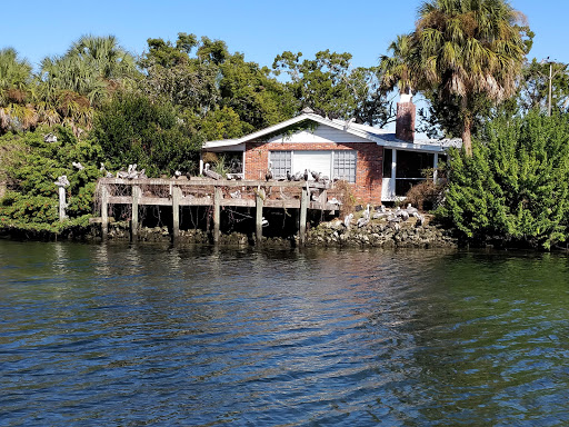 Tourist Attraction «Fun 2 Dive - Swim with Manatees», reviews and photos, 135 NE 3rd St, Crystal River, FL 34429, USA