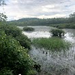 Kessler Swamp State Nature Preserve