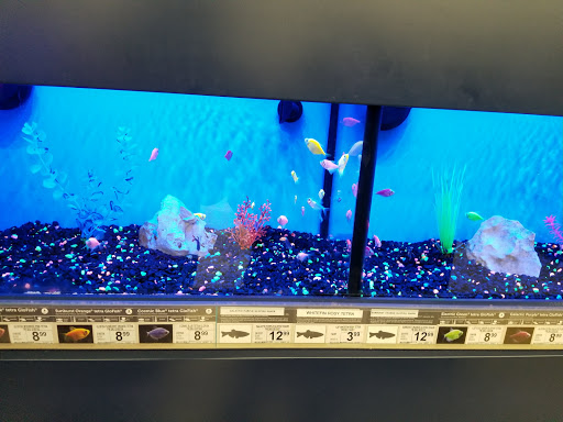 Tropical Fish Store «Aquatic Wildlife Co», reviews and photos, 70 Buckland Rd, South Windsor, CT 06074, USA