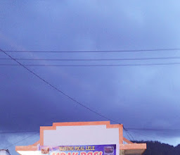 Pecel Lele Wendis photo