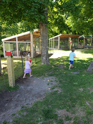 Zoo «Trowbridge Creek Zoo», reviews and photos, 50622 Co Rd 17, Vergas, MN 56587, USA