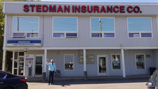 Stedman Insurance Agency Inc., 508 28th St SW, Grand Rapids, MI 49509, Auto Insurance Agency