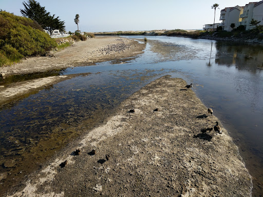 Park «Mary Harrington Park», reviews and photos, 201 Dolliver St, Pismo Beach, CA 93449, USA