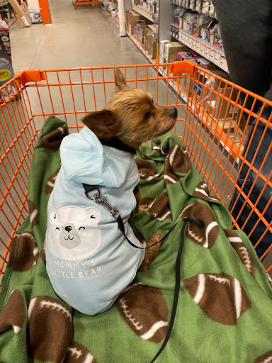 Home Improvement Store «The Home Depot», reviews and photos, 6415 Petrie Way Rd, Rosedale, MD 21237, USA