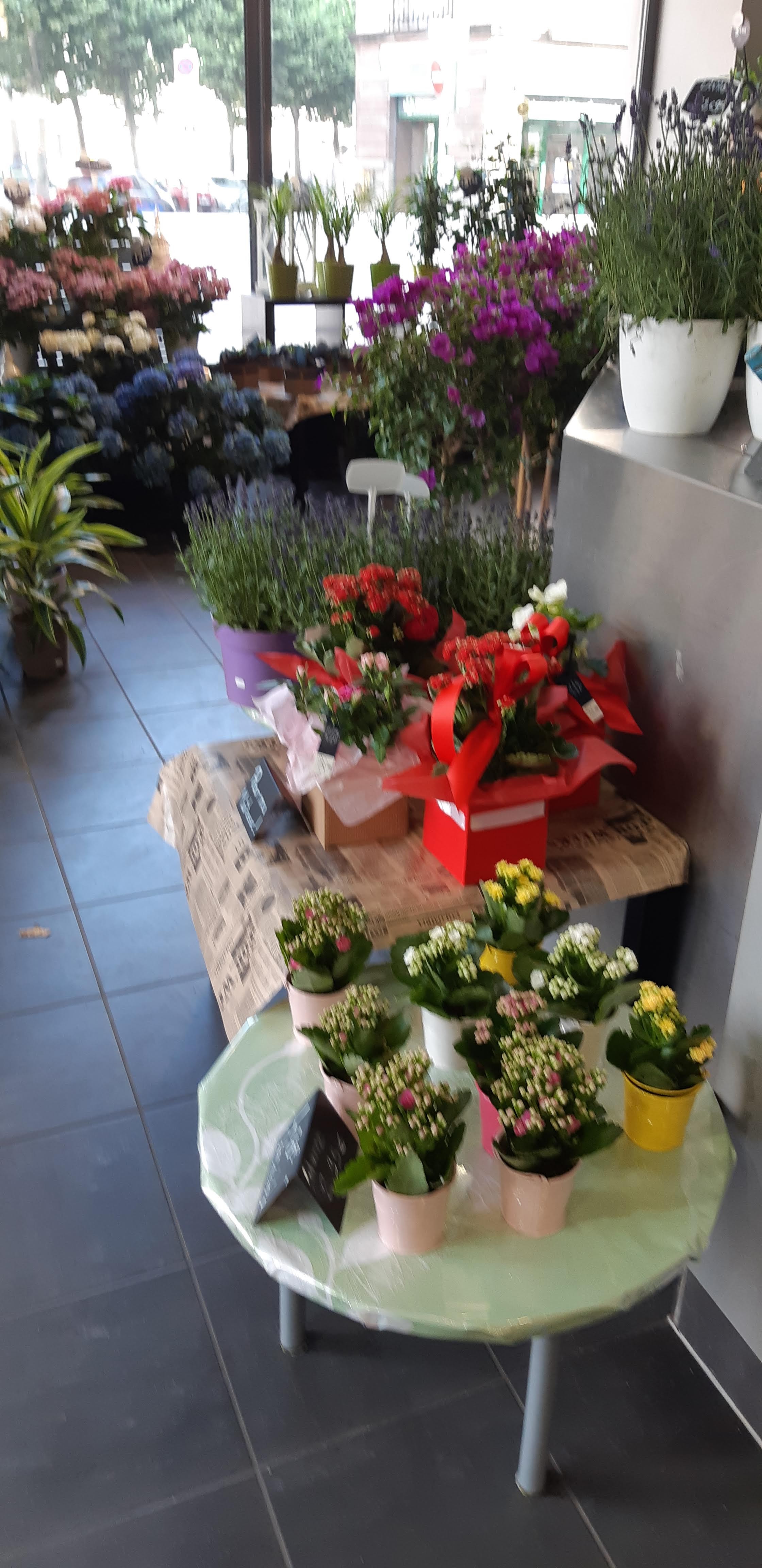 Photo n° 16 de l'avis de Del.t fait le 06/07/2019 à 07:39
