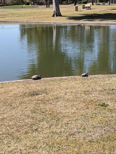 Golf Course «Dobson Ranch Golf Course», reviews and photos, 2155 S Dobson Rd, Mesa, AZ 85202, USA