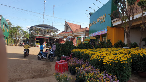 Top 20 cửa hàng trung nghĩa Huyện Cư Kuin Đắk Lắk 2022