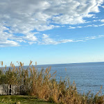 Photo n°1 de l'avis de Sara.a fait le 18/10/2020 à 15:09 sur le  La Vesca à Sanremo