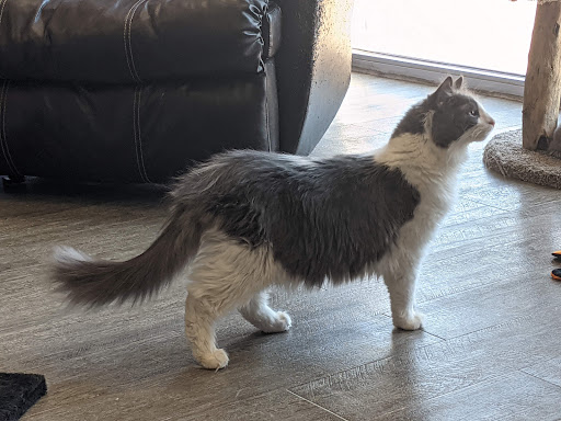 Pet Supply Store «Animal House Pet Supplies», reviews and photos, 733 Phillips Blvd, Sauk City, WI 53583, USA