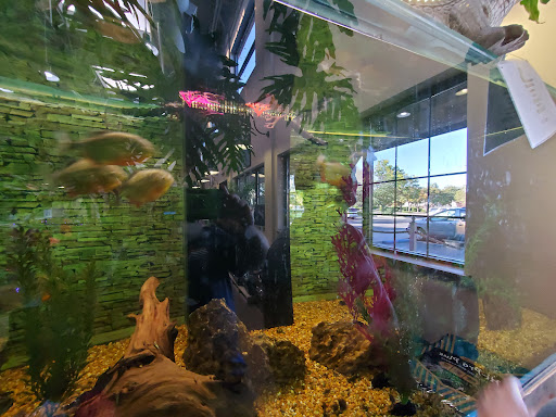 Pet Store «Pet Paradise Grooming», reviews and photos, 1115 Pueblo Blvd Way, Pueblo, CO 81005, USA