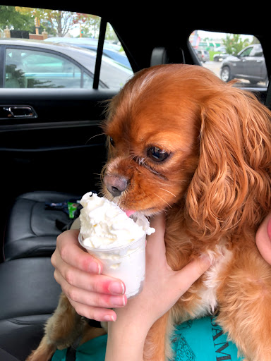 Coffee Shop «Starbucks», reviews and photos, 14903 S Robert Trail, Rosemount, MN 55068, USA