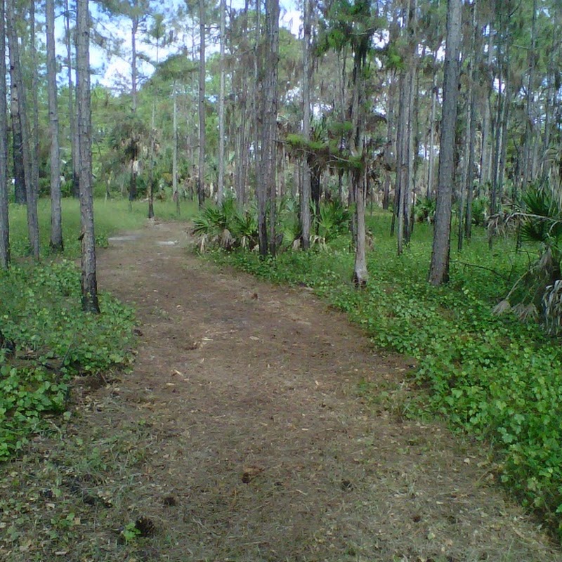 Nancy Payton Preserve