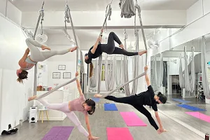 Y Aerial Yoga Studio image