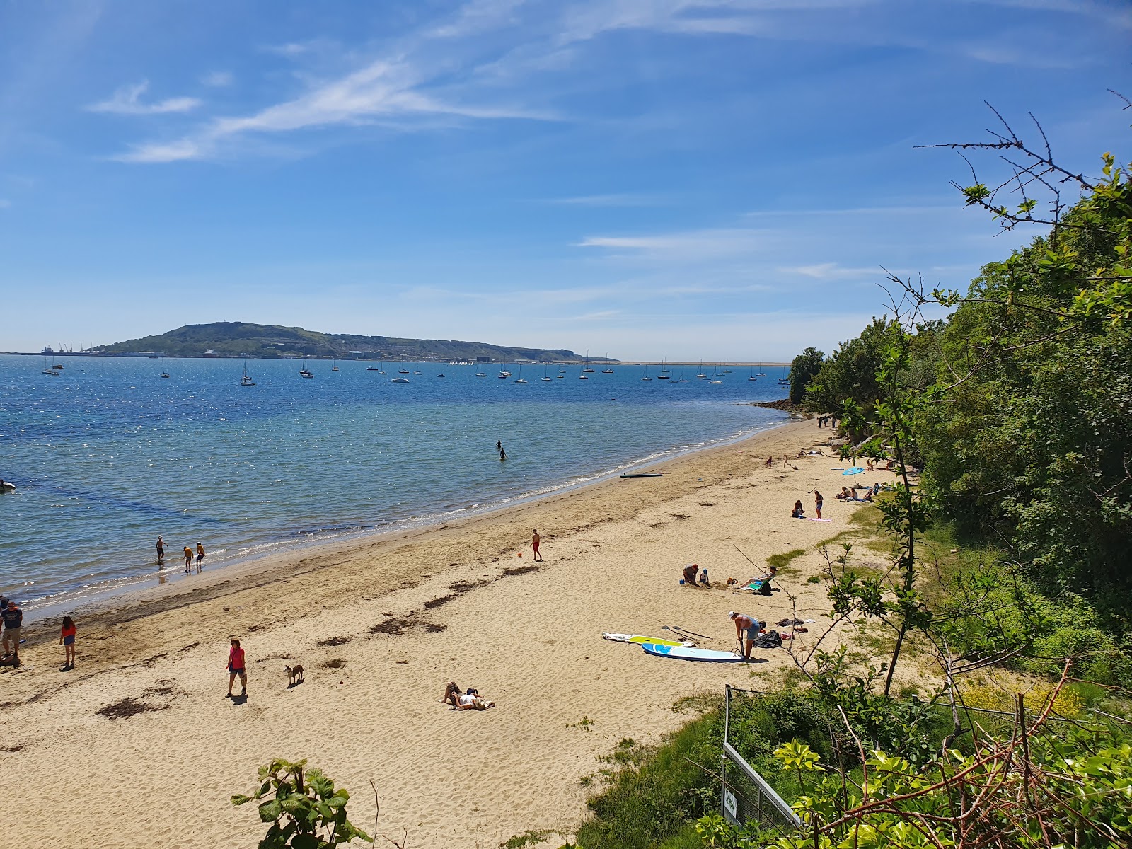 Foto di Castle Cove con una superficie del sabbia beige