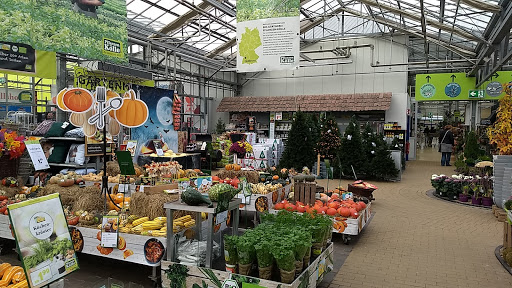 Pflanzen-Kölle Gartencenter unter Wildau, 