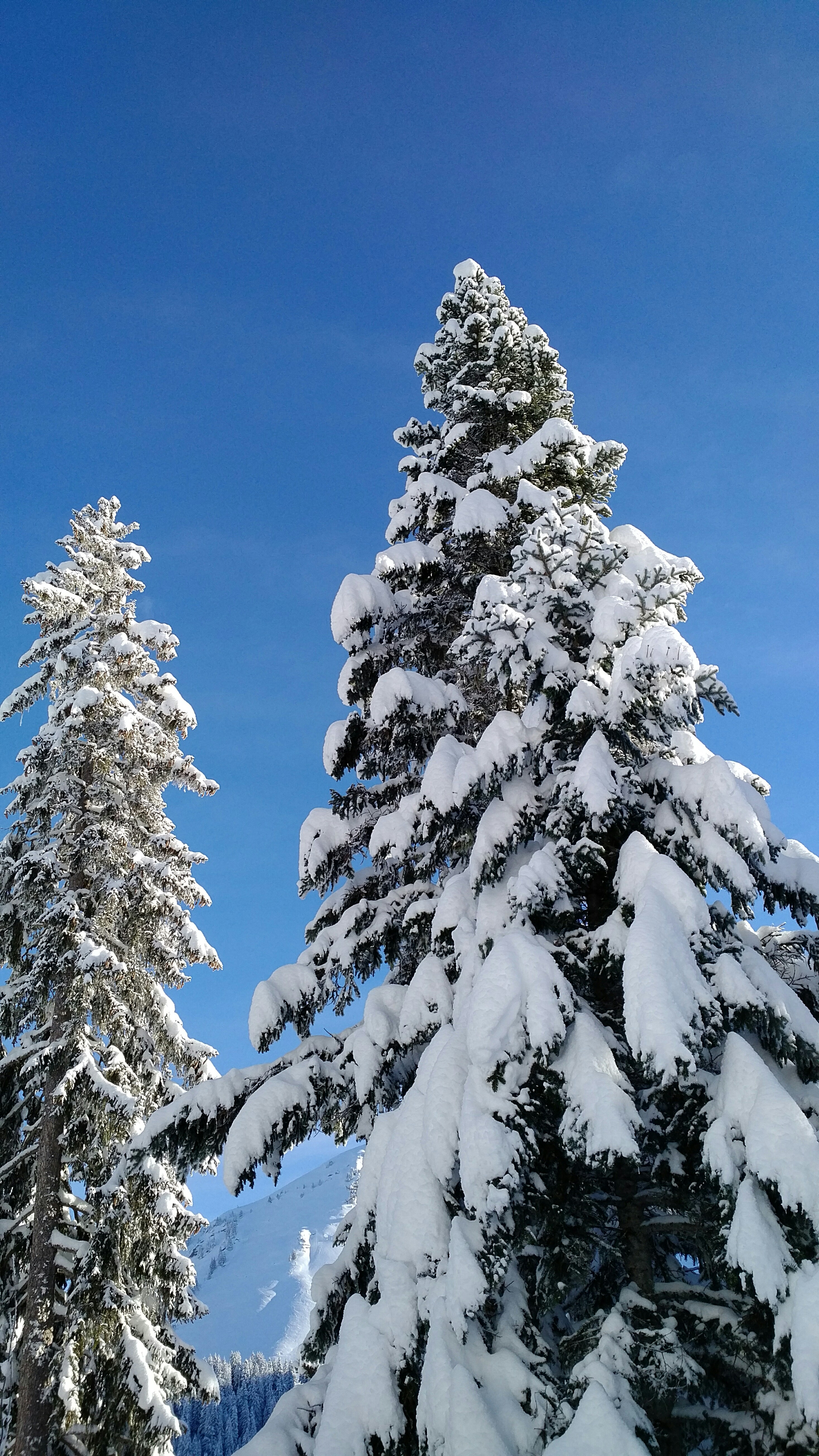 Photo n° 5 de l'avis de Bernard.a fait le 07/02/2019 à 15:19