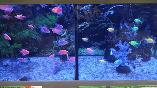 Pet Supply Store «Pet Supplies Plus», reviews and photos, 29493 W Seven Mile Rd, Livonia, MI 48152, USA