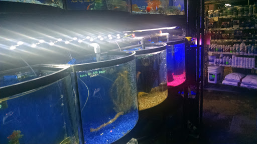 Pet Store «All Pets Club», reviews and photos, 1167 N Colony Rd, Wallingford, CT 06492, USA