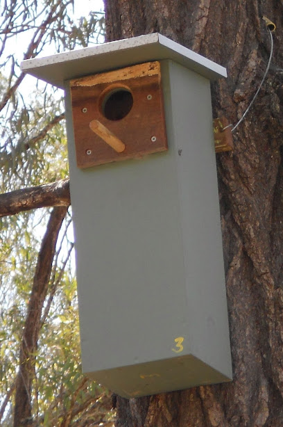 Nestboxes Homes for Wildlife