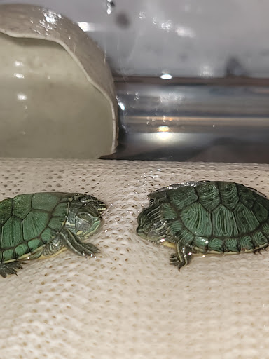 Pet Supply Store «Unleashed by Petco», reviews and photos, 520 S 23rd St, Philadelphia, PA 19146, USA