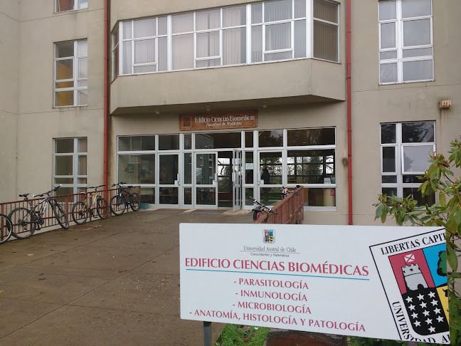 Escuela De Medicina, Universidad Austral de Chile (UACh) - Universidad