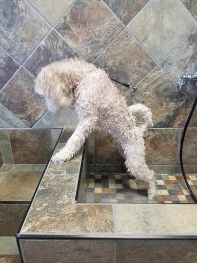 Pet Supply Store «Pet Valu», reviews and photos, 8249 Chippewa Rd, Brecksville, OH 44141, USA