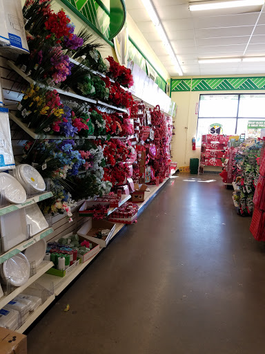 Dollar Store «Dollar Tree», reviews and photos, 8676 TX-121 #104, McKinney, TX 75070, USA