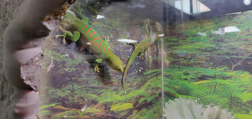 Pet Store «Everything Pet», reviews and photos, 3616 N Fry Rd, Katy, TX 77449, USA