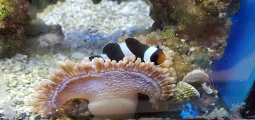 Pet Supply Store «Petco Animal Supplies», reviews and photos, 1507 Rockville Pike, Rockville, MD 20852, USA