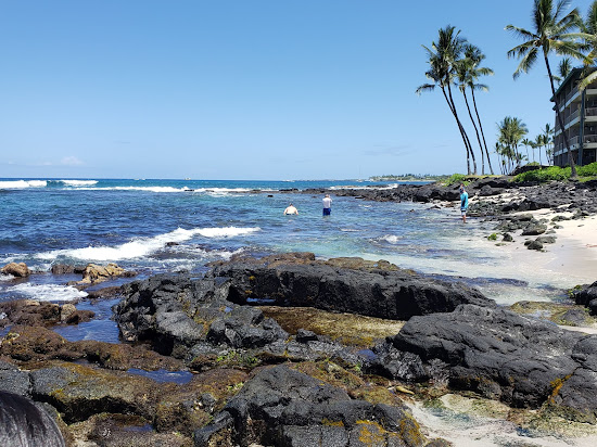 Honl's Beach
