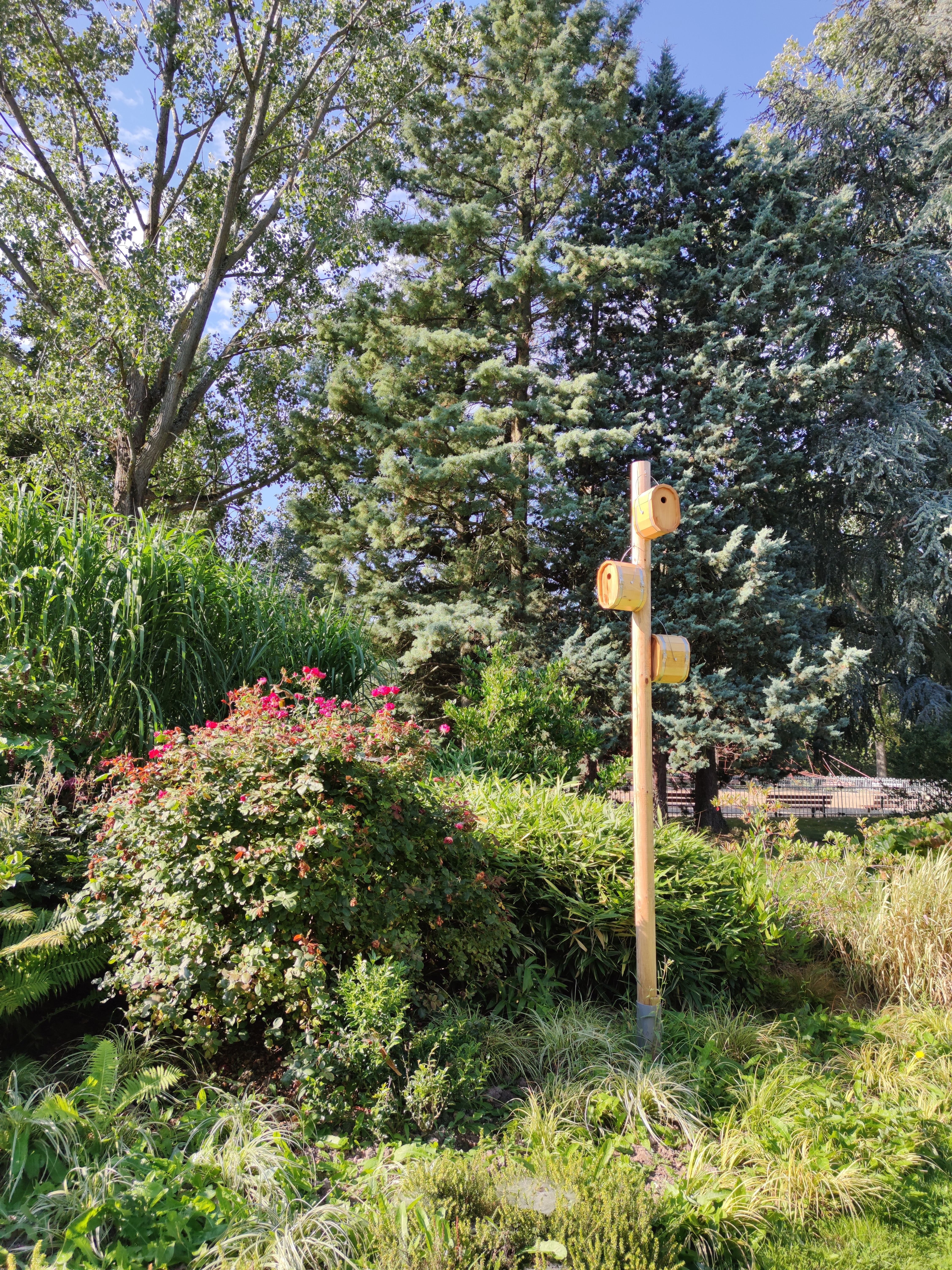 Photo n° 4 de l'avis de Alexandre.a fait le 03/09/2021 à 12:27