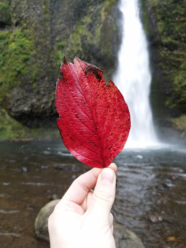 Waterfall «Horsetail Falls», reviews and photos, Historic Columbia River Hwy, Cascade Locks, OR 97014, USA